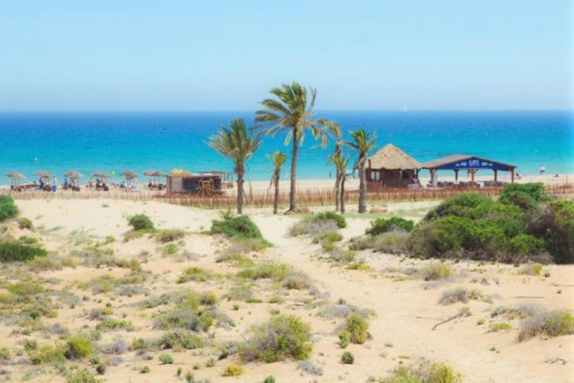 Mediterraneamente Soleado Santa Pola Ngoại thất bức ảnh